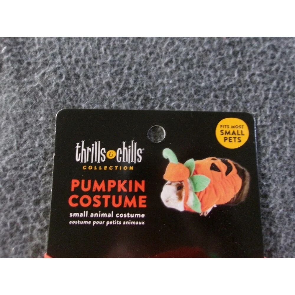 Small Animal Costume Thrills & Chills Pumpkin Guinea Pig Jack O Lantern Tea Cup